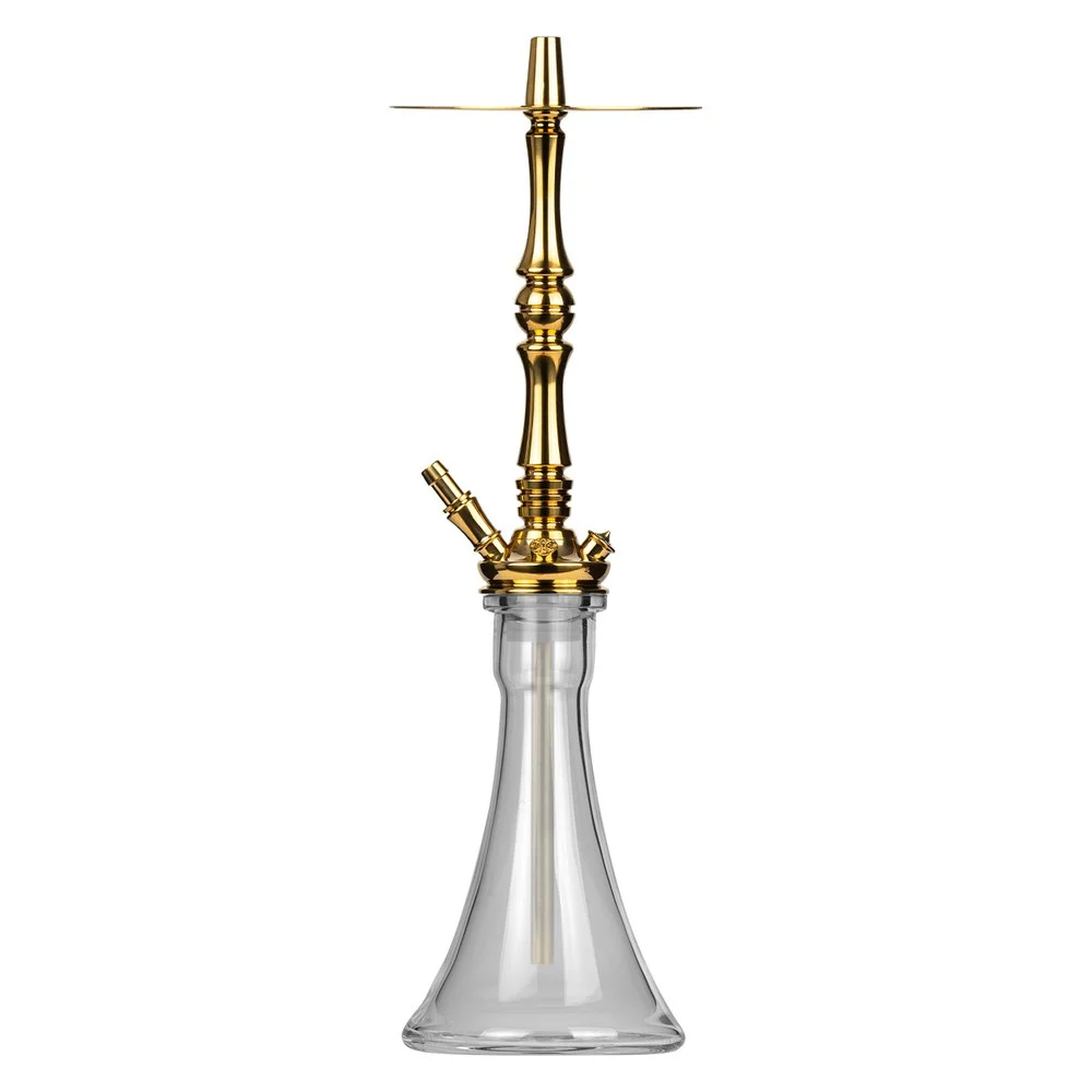 Moze Tradi L - Gold - Standard Glas All in One Bundle